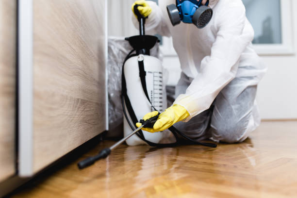 Best Pest Control Near Me  in Homerville, GA