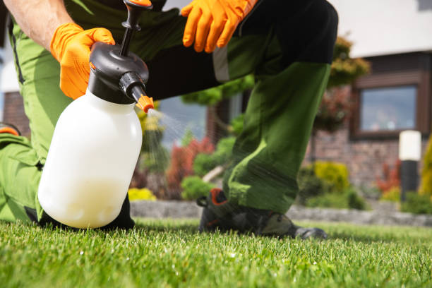 Best Affordable Pest Control Services  in Homerville, GA