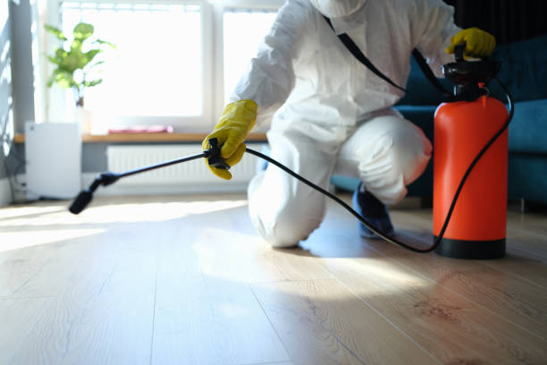 Best Termite Control Services  in Homerville, GA