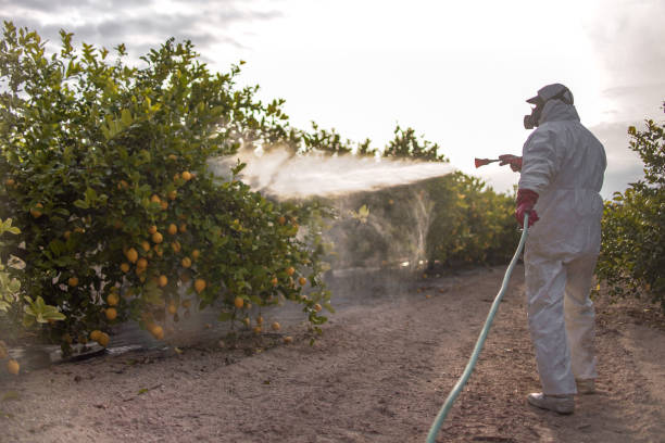 Best Pest Removal Services  in Homerville, GA