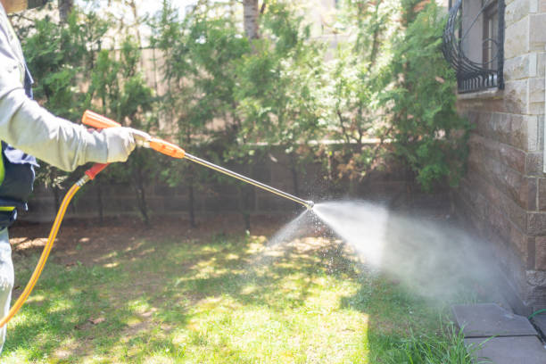 Best Ant Control Services  in Homerville, GA