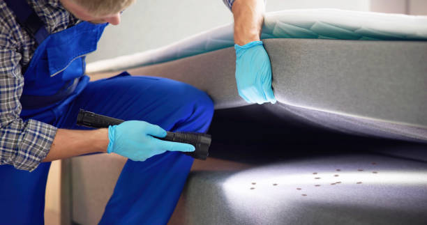 Best Best Pest Control Companies  in Homerville, GA