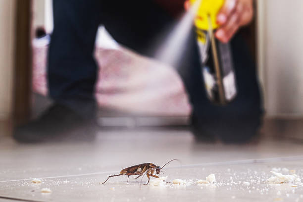 Best Bed Bug Extermination  in Homerville, GA
