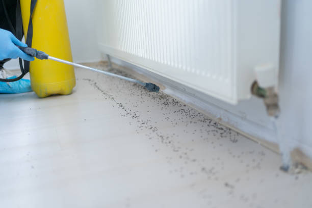 Best Exterminator Services  in Homerville, GA
