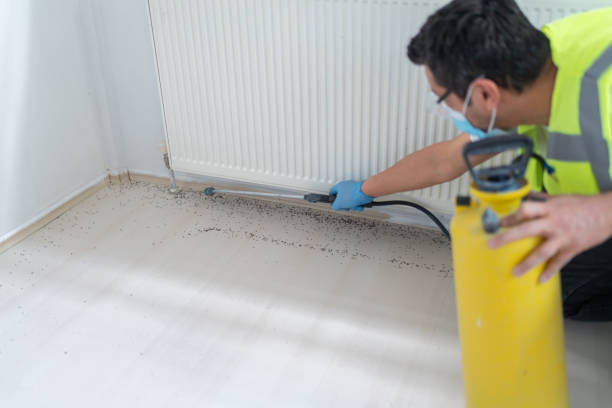 Best Residential Pest Control  in Homerville, GA