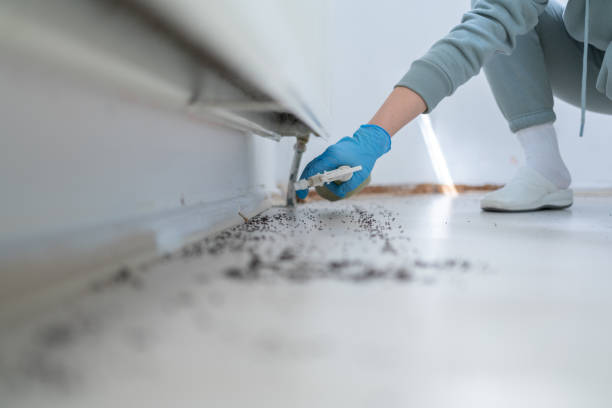 Trusted Homerville, GA Pest Control Experts